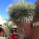arizona from kells camera - IMG_3171